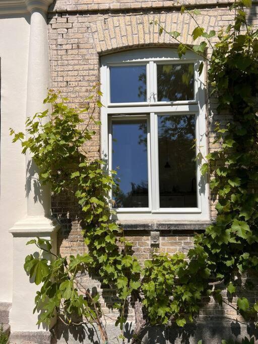 Idyllisches Appartement Nahe Ostsee Und Schlei Rabenkirchen-Faulueck Экстерьер фото
